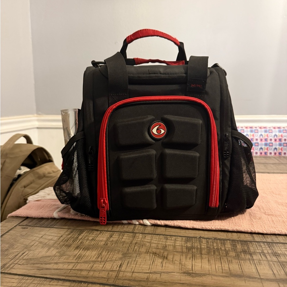 Black and Red Insulated Backpack